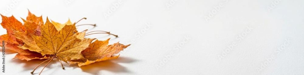 Fototapeta premium Autumn maple leaves falling on white background. Vibrant orange foliage for seasonal design and nature themes.