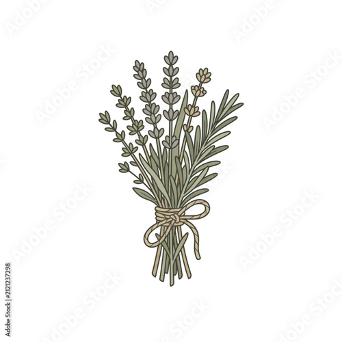 Lavender and Rosemary Herb Bouquet Illustration
