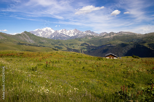 Obraz na płótnie Alpage sous l'oeil du Mont-Blanc