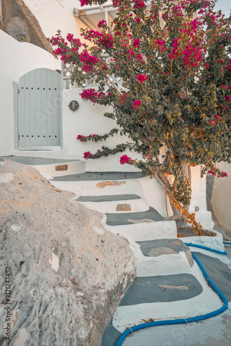 Cycladic white stone stairs leading to a doorway, with a vibrant bougainvillea plant