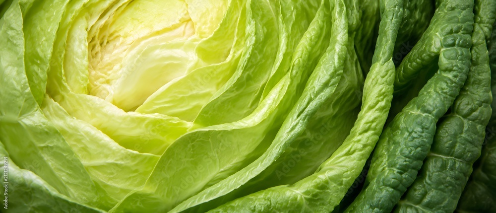 Obraz premium Layered Cabbage Leaves Forming Abstract Botanical Pattern from Pale Center to Deep Green Culinary Artwork