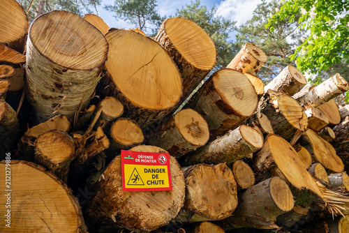 Exploitation forestière. Rondins de bois empilés. Pancarte d'avertissement Défense de monter, danger de chute. Pins sylvestre