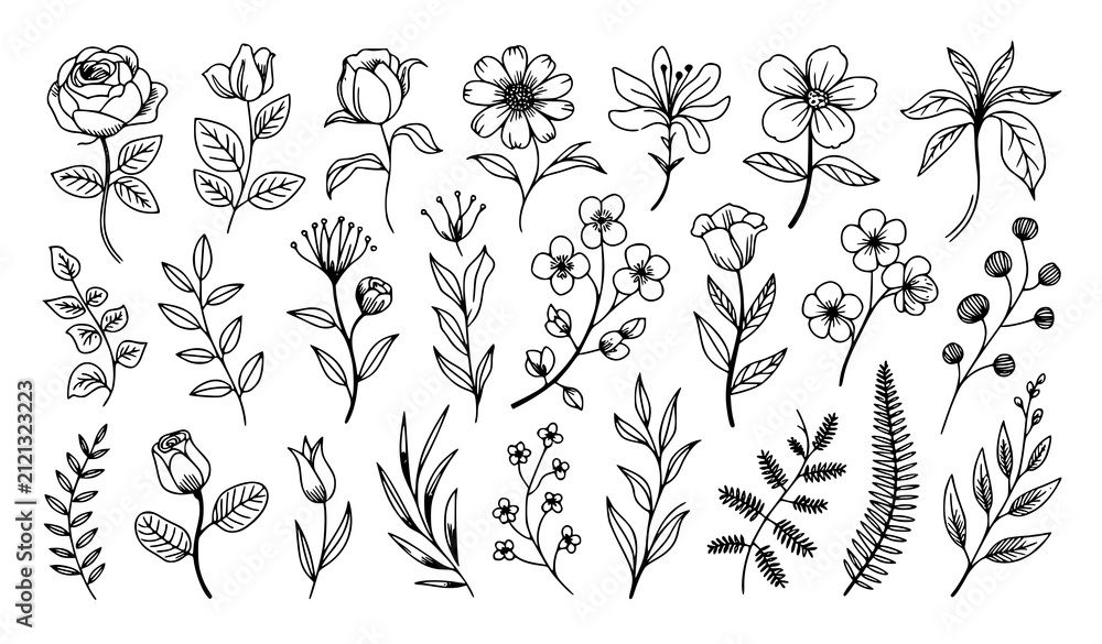 Fototapeta premium Hand drawn botanical flowers and foliage collection with diverse floral stems and leaves