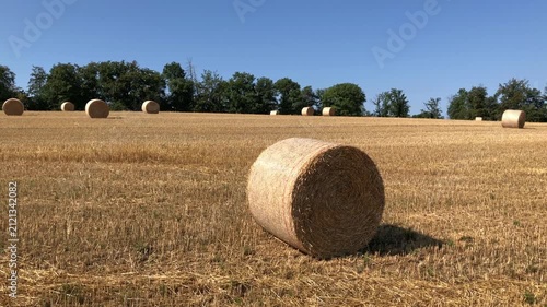 Round rolled hay bales in a mowed wheat or agricultural field on a sunny summer day in the rural countryside in Germany Europe