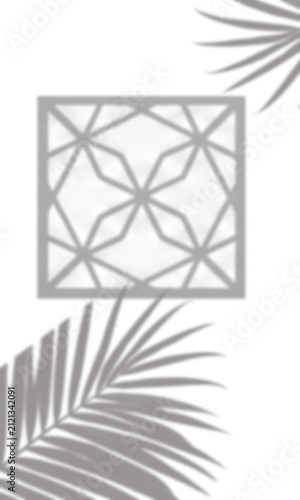 Gray palm leaves and a central square shape isolated on a transparent background