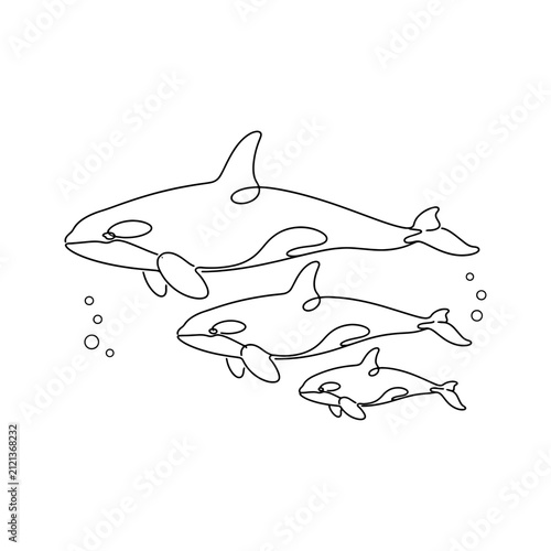 Killer Whale Coloring Pages for Kids