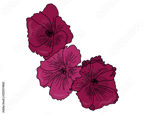 set of three burgundy blooming flowers vector illustration, detailed black line art shading on white background