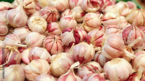 Fresh Pink Garlic Bulbs Pile CloseUp at Market Raw Culinary Ingredient and Organic Spice Harvest