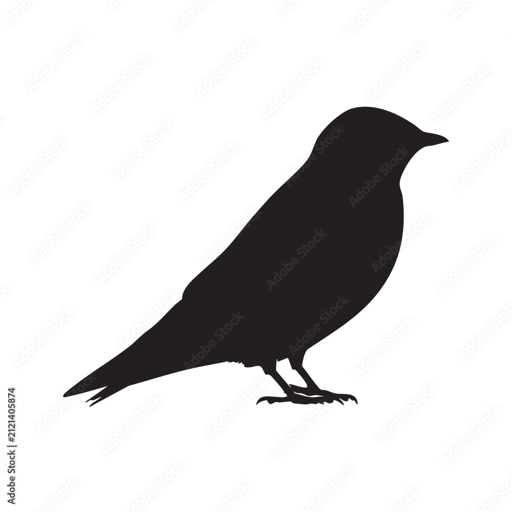 Obraz premium Black silhouette of a bird standing isolated on white background, Vector, illustration