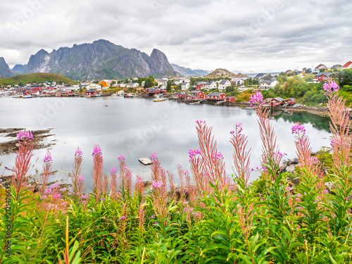 Lofoten. Norway. Europe.
