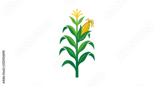 A detailed illustration of a healthy corn stalk with green leaves and a golden ear.