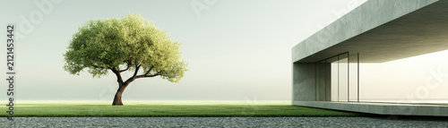 Minimal architecture modern house lone tree green lawn concrete building glass wall tranquil landscape outdoor nature urban green area minimalist design Serenity minimal architecture modern house