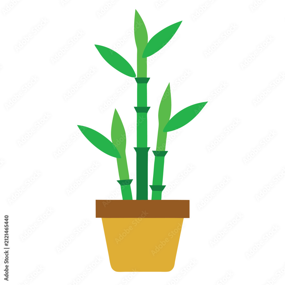 Fototapeta premium Green bamboo plant in pot. 