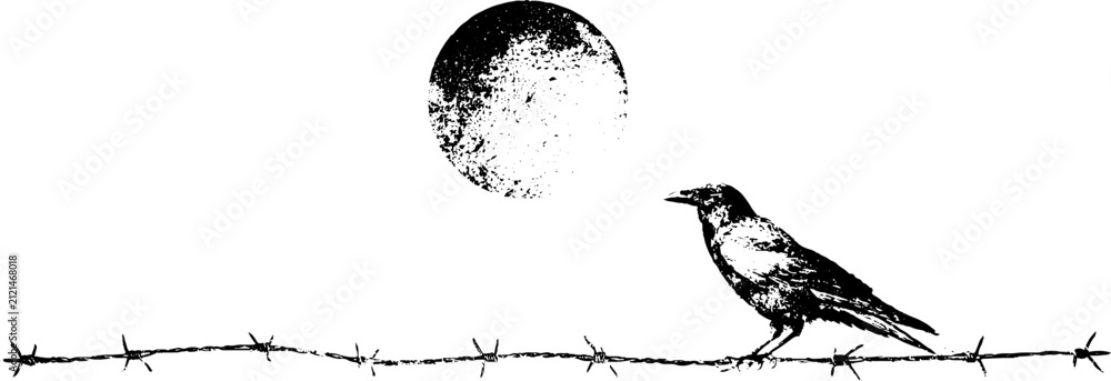 Obraz premium Grunge black and white raven silhouette perched on barbed wire with textured moon for gothic poster background and dark design