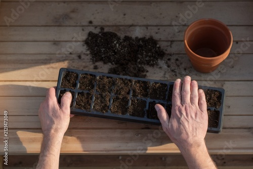 Overhead view of hands preparing a seed tray at a potting bench