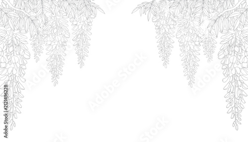 Detailed black and white outline drawing of hanging wisteria flowers and leaves framing the top border on white background.