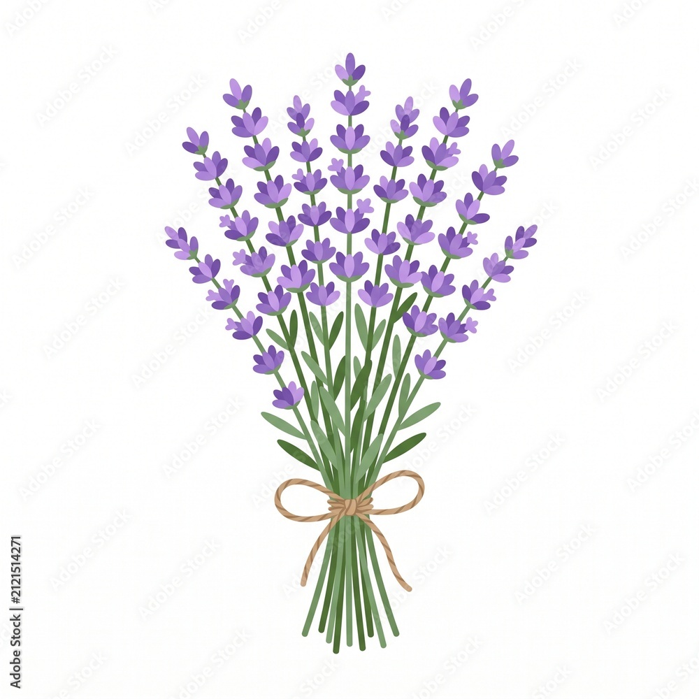 Fototapeta premium Simple yet charming vector graphic depicting a fresh bunch of lavender blossoms, symbolizing tranquility and natural elegance, ideal for floral decor, herbal product branding, or invitations