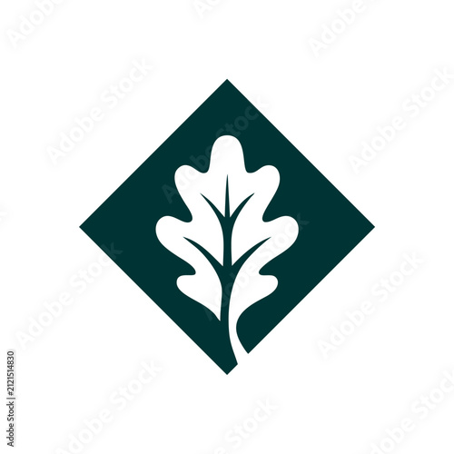 Oak leaf icon in a diamond shape. Minimalist nature logo design for eco branding.