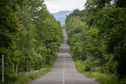 Quadro su tela Biei hills in summer in Hokkaido, Japan