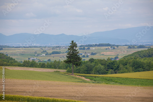 Foto Biei hills in summer in Hokkaido, Japan