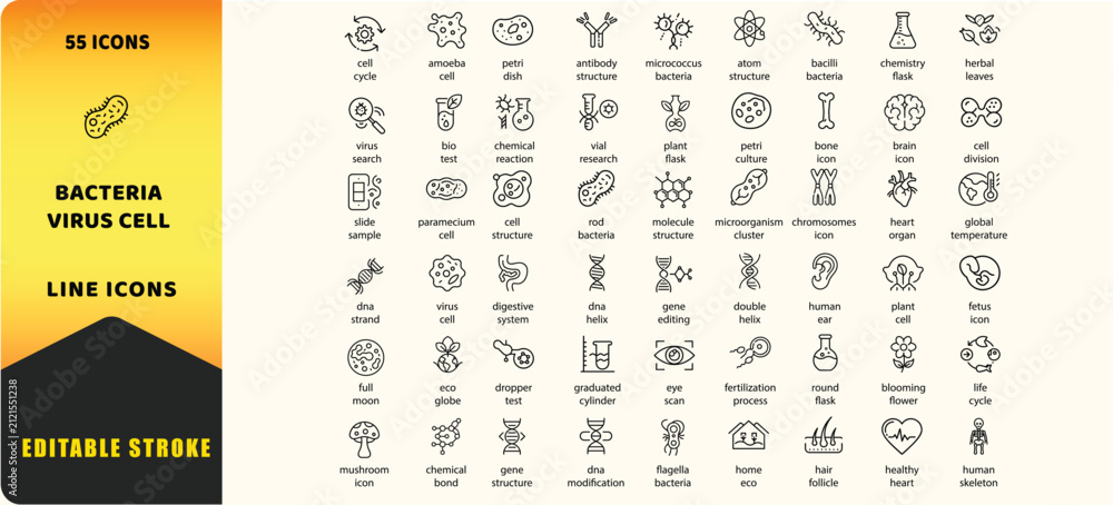 Foto Bacteria virus cell vector icons