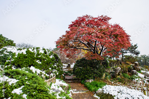 Foto Winter Snow Scenery of Huagang Guanyu, Hangzhou, Zhejiang, China
