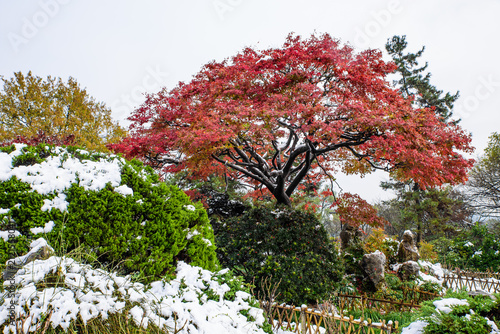 Foto Winter Snow Scenery of Huagang Guanyu, Hangzhou, Zhejiang, China