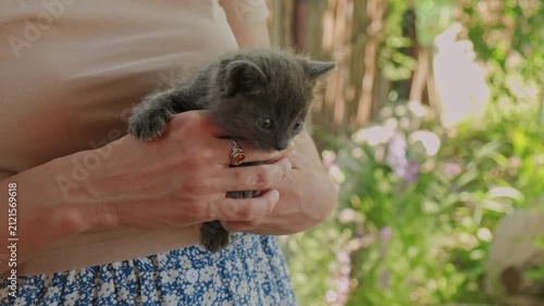 Person holding kitten holding kitten gently, in outdoor garden with greenery and flowers, nearby objects.