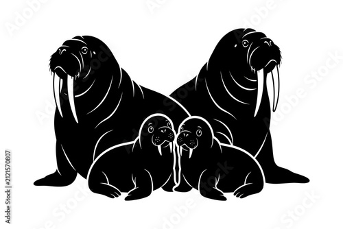 Walrus Family Group Silhouette - Adult Walruses with Tusks and Baby Calves  Illustration