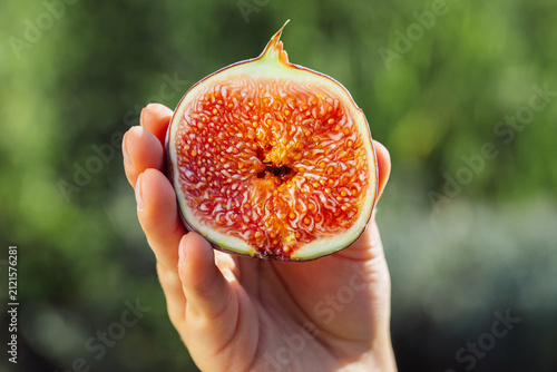 Close-up of hand holding freshly cut ripe fig half with juicy seed-filled flesh. Premium Ficus carica fruit, natural sweetness, healthy nutrition, gourmet food and organic freshness.