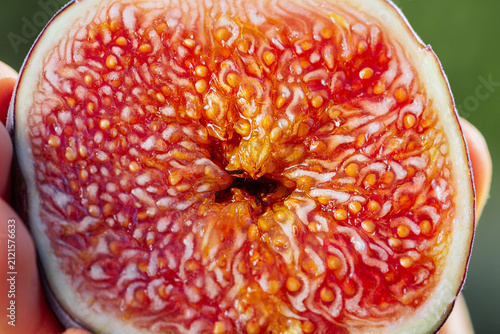 Sliced half of healthy juicy ripe fig. Extreme macro. Seasonal fruit details, close-up seeds, texture of Ficus carica