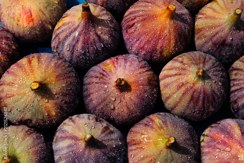 Whole fresh ripe figs with sparkling water droplets arranged in top view pattern. Ficus carica seasonal fruit, healthy nutrition, organic harvest, premium produce and aesthetic food styling