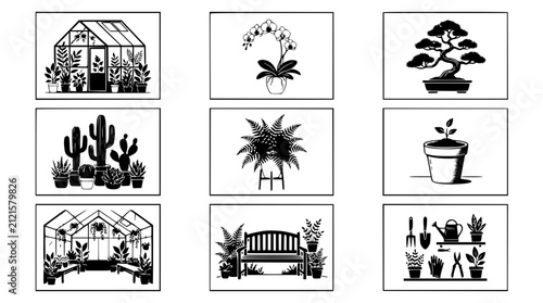 Photography Vector Greenhouse Plants Collection: Bonsai, Cactus, Orchid, Fern, Gardening Too