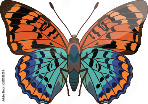 Colorful butterfly with orange and blue patterned wings