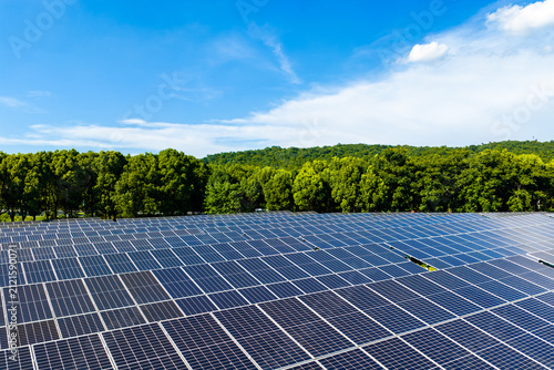 Large solar panel array beside a green forest