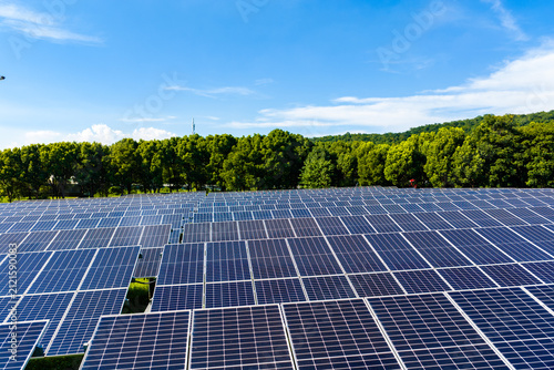 Solar panels arranged in rows beside forest