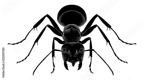 A detailed black illustration of an ant, viewed from above with its mandibles prominent