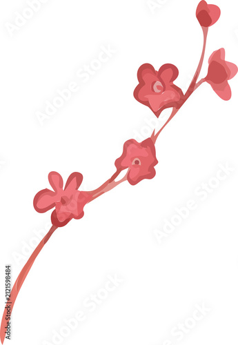 cherry blossom branch