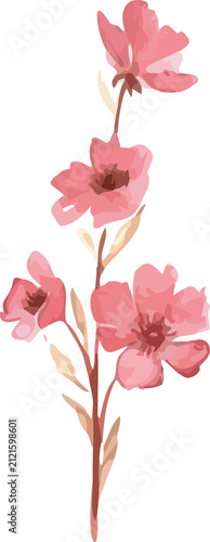 pink rose petals
