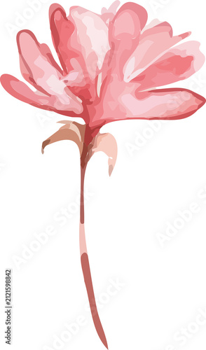 red rose petals