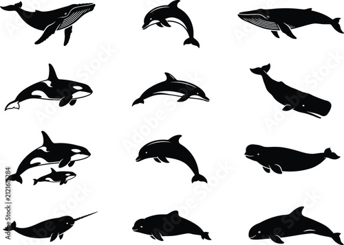 Whale Orca Dolphin and Narwhal Silhouettes Vector Icons for Marine Life Design