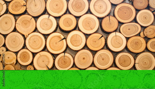 Stack of Natural Wood Logs with Textured Green Surface Below.