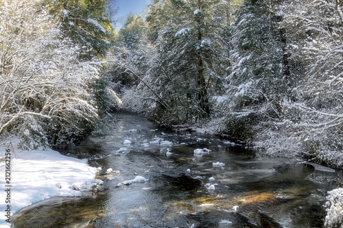 Canvas Print Mountain river in the winter with snow and ice