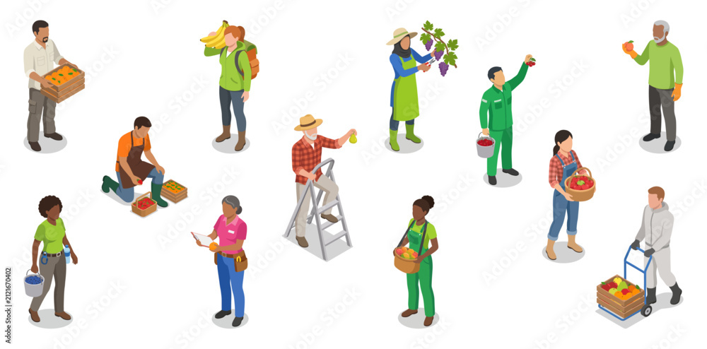 Fototapeta premium Fruit harvest workers vector set picking organic produce and carrying crates | Isometric flat illustration graphics
