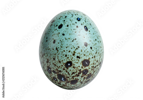Speckled bird egg turquoise and brown macro detail isolated on transparent background avian reproduction natural texture wildlife study