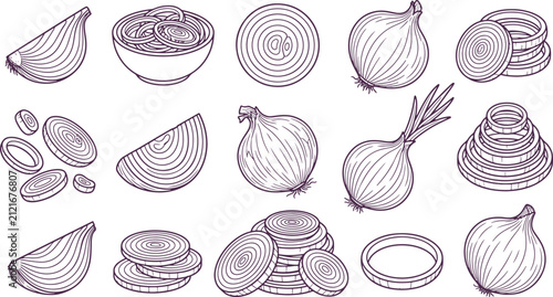 Set of hand drawn onion illustrations showing whole bulbs slices segments rings with vegetable ingredients isolated collection illustration monochrome culinary nutrition