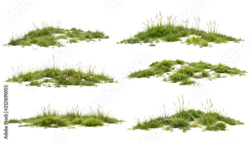Realistic Isolated Wild Grass Clumps Collection on White Background