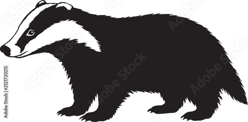 Cuadro en lienzo European Badger Silhouette Side View - Wild Badger Animal Icon