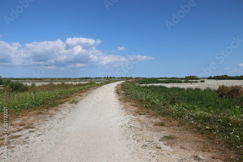 Fotografie Marker Wadden, the Netherlands