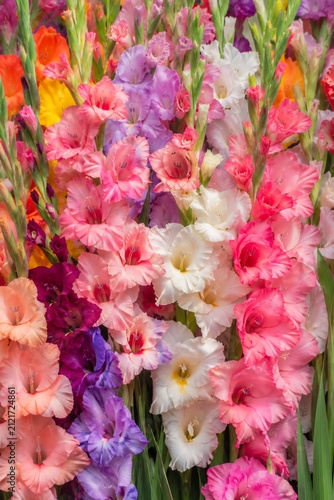 bouquet of flowers, gladioli